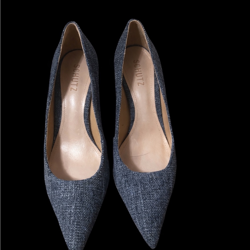 SCHUTZ Navy Pointed-Toe Pumps